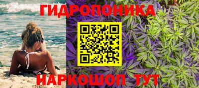 прущие грибы Апшеронск