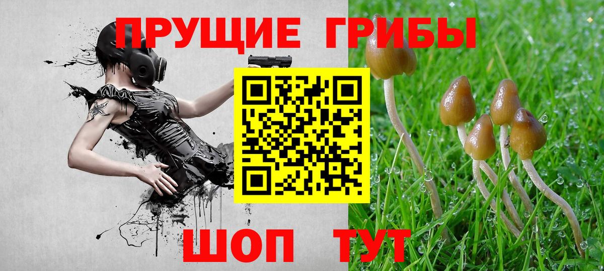 наркотики  Псилоцибиновые грибы прущие грибы  Вход с VPN  Балашиха 